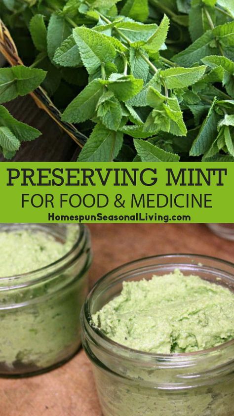 Gardening, Herb Recipes, Food Storage, Food Styling, Fresh Herbs, Preserve Fresh Herbs, Herbs For Health, Medicinal Herbs Garden, Uses For Mint Leaves