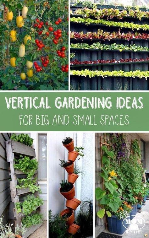 Container Gardening, Shaded Garden, Garden Planning, Gardening, Vertical Vegetable Garden, Vertical Vegetable Gardens, Diy Garden Landscaping, Vertical Herb Garden, Garden Landscaping
