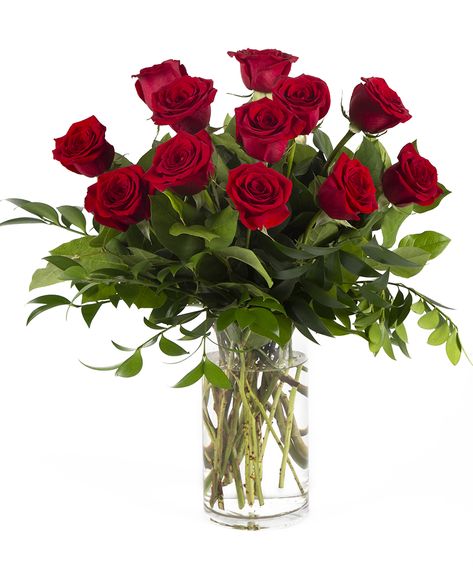 Roses, Floral, Yellow Roses, Valentine's Day, Pink, Dozen Red Roses, Dozen Roses, Rose Delivery, Flower Arrangements