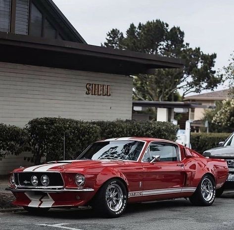 Autos, Rouge, Auto, Ford, Mustang, Aesthetic, Hot Cars, Carros, Red Mustang