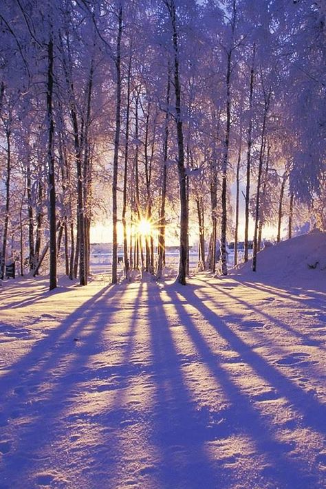 Winter, Nature, Fotos, Sanat, Fotografie, Wallpaper, Fotografia, Winter Wallpaper, Naturaleza