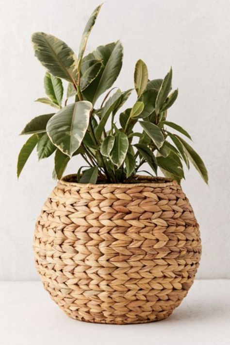 Bringing Texture to the Kitchen with Rattan Stools - KristyWicks.com Home Décor, Rattan Stool, Rattan Planters, Rattan Basket, Rattan Basket Decor, Decorative Wicker Basket, Rattan, Kitchen Plants, Woven Decor