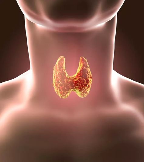 Overactive Thyroid, Tongue Health, Thyroid Gland, Thyroid Issues, Thyroid, Thyroid Function, Thyroid Problems, Thyroid Symptoms, Thyroid Test