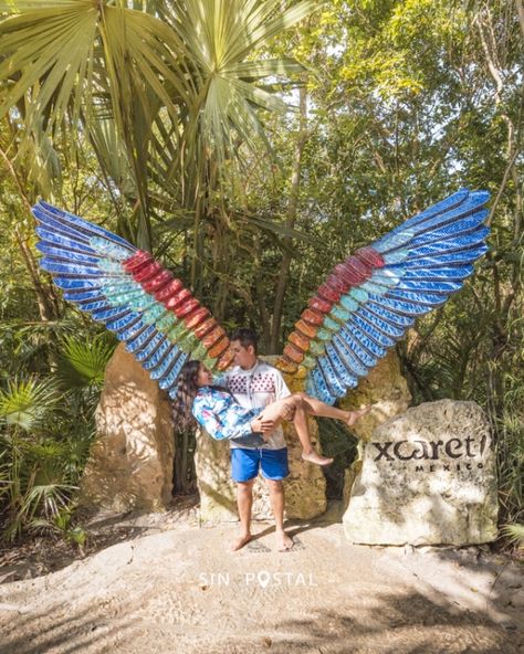 Todo lo que necesitas saber para visitar el parque Xcaret en la Riviera Maya Tulum, Mexico, Trips, Playa Del Carmen, Cancun, Quintana Roo, Hacienda, Playa, Viajes
