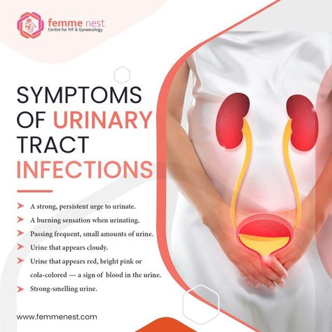 UTI can be really uncomfortable, so it's important to take care of your body and know the symptoms. It can happen when bacteria enter the urinary tract, usually through the urethra. UTIs are most common in women because they have a short urethra than men. You may have UTI if you experience any of these symptoms mentioned above. Consult now to the best doctor for IVF in Delhi. #gynaecology #obstetrics #fertility #IVF Urinary Tract Infection, Urinary Tract, Fertility Doctor, Lymphoma, Gynecology, Fertility Problems, Fertility Treatment, Hodgkins Lymphoma