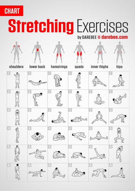 Stretching Exercises | Chart Fitness, Yoga Workouts, Yoga, Fitness Workouts, Stretching For Flexibility, Stretching Exercises, Flexibility Training, Stability Exercises, Flexibility Workout