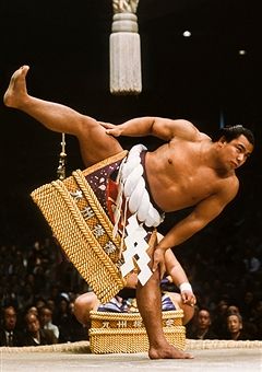 Judo, Sumo, Sumo Wrestler, Japanese Wrestling, Japan Japan, Japanese, Japanese Culture, Maneki Neko, Martial