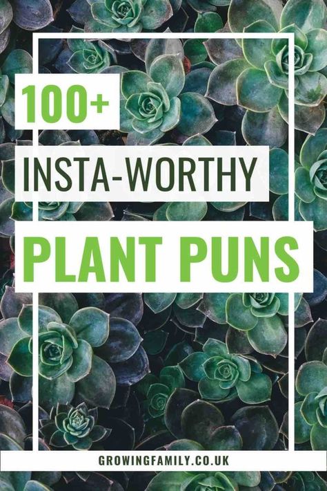 115 Plant puns and plant jokes to leaf you chuckling - Growing Family Gardening, Crafts, Nature, Play, Plant Jokes, Gardening Jokes, Herb Puns, Plant Puns, Succulent Puns