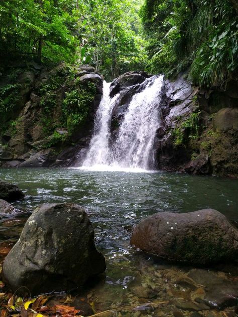 Landscape Photography, Camping, Cascade, Martinique, Paisajes, Waterfall, Casca, Wonderful Places, Lugares
