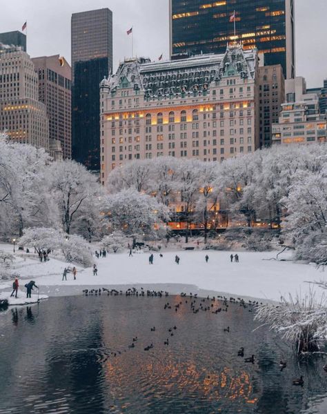 📍 New York This the saison in New York🎄❄️ - Areti’s Traveling Natal, Winter, Jul, December, Fotos, Noel, Weihnachten, Kerst, Winter Pictures