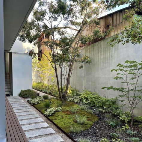 Haus, Hof, Japanese Garden, Japanese Garden Design, Japanese Courtyard, Japan Garden, Bau, Taras, Japanese Garden Landscape