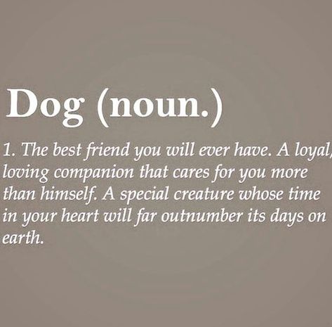 The true definition of dog Dogs, Labrador, Dog Quotes, Dog Quotes Love, Best Dog Quotes, Dog Love, Dog Mom, Dog Lovers, Puppy Love