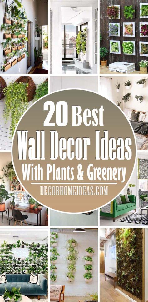 Home Décor, Outdoor, Inspiration, Plant Decor Living Room, Home Decor With Plants, Hang Plants On Wall, Plant Wall Decor, Indoor Plants Decor Living Room, Wall Plants Indoor