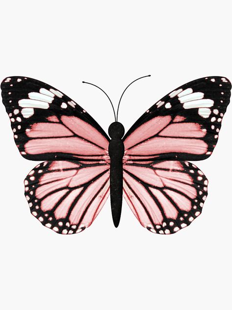 Unique Light Pink Butterfly Stickers designed and sold by artists. Decorate your laptops, water bot... Butterfly Sticker, Butterfly Prints, Butterfly Print, Pink Butterflies, Pink Butterfly, Blue Butterfly, Pink Butterfly Drawing, Pink Butterfly Painting, Butterfly Wallpaper