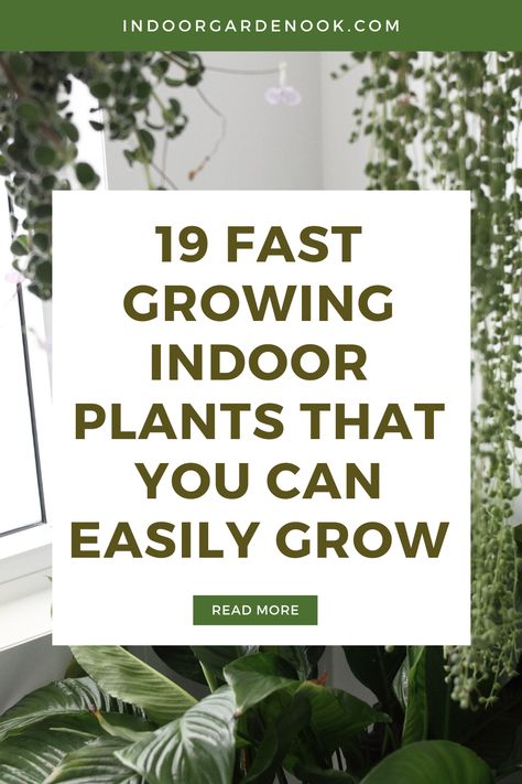 Ideas, Indoor Gardening, Gardening, Camping, Outdoor, Growing Plants Indoors, Growing Indoors, Fast Growing Plants, Growing Plants