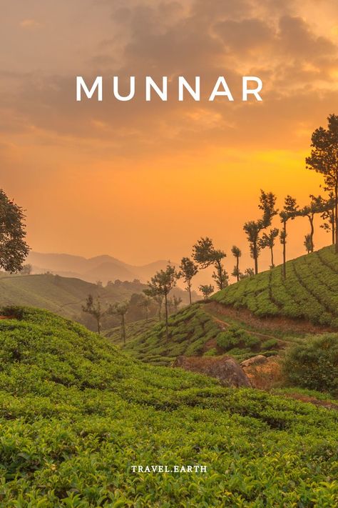 Munnar is situated at around 1,600 meters above sea level in the Western Ghats mountain range. It is one of the coldest hill stations in South India and also one of the most sought after honeymoon places in winter in India. The hills of Munnar have earned the tag “Kashmir of South India” because of its rolling beauty and charm. Its beautiful tea plantations, picturesque towns, winding lanes and verdant greenery has the ability to cast a magical spell on the visitors. India, Udaipur, Agra, Places, Bonito, Munnar, Beautiful Nature, Kerala, Paisajes