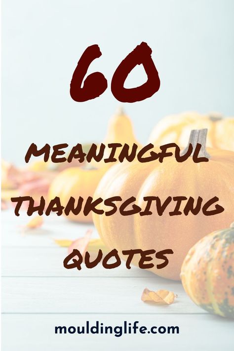 60 meaningful thanksgiving quotes Instagram, Friends, Motivation, Thanksgiving, Inspiration, Ideas, Thanksgiving Qoutes, Thanksgiving Sayings, Thanksgiving Meaning