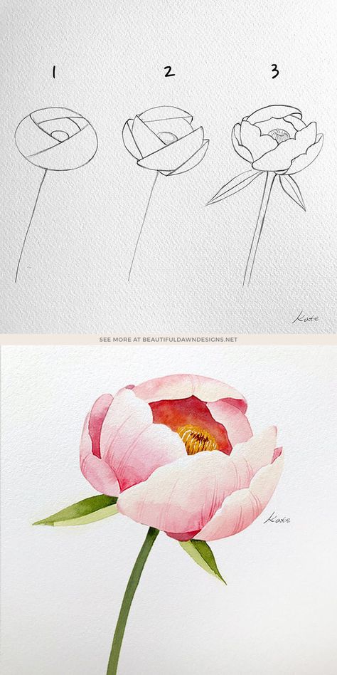 22 Easy How to Draw Flowers Step-by-Step Tutorials - Beautiful Dawn Designs Painting & Drawing, Pencil Drawings, How To Draw Flowers Step By Step, Easy Flower Drawings, Flower Drawing Tutorials, Easy Flower Painting, Painting Flowers Tutorial, Watercolor Flowers Tutorial, Simple Flower Drawing