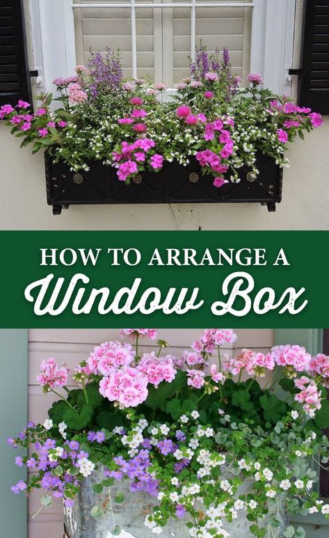 Gardening, Organic Gardening, Container Gardening, Planter Boxes, Container Gardening Flowers, Garden Boxes, Window Planter Boxes, Window Box Plants, Window Planters