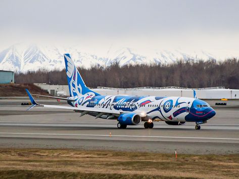 The newest special livery of Alaska Airlines has taken to the skies. This eye-catching paint job commemorates the airline's home state of Alaska and is painted on a Boeing 737-800. This brand new Alaska-themed livery is painted on N559AS, a 16-year-old Boeing 737-890 which is the former \ Alaska, Alaska Airlines, Airlines Branding, Boeing, Alaska Themed, Airplane, Planes, Ketchikan, Aerospace