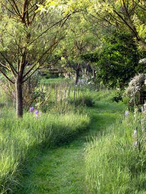 Let an area of the lawn grow wild, then create a path through the tall grass with a riding mower or weedwacker | countryliving.com Gardening, Outdoor, Garden Paths, Exterior, Garden Landscaping, Back Garden Landscaping, Front Garden Landscaping, Landscaping Tips, Walkway Landscaping