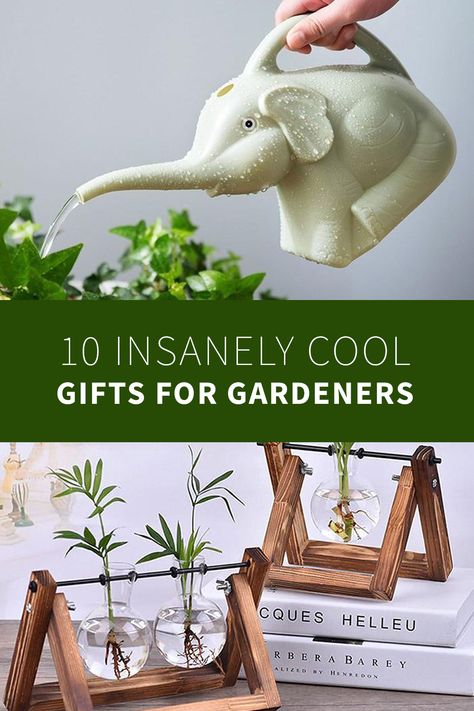 Best gifts for gardeners are those that will stand the test of time and are original enough, to let the recipient know that you took the time & effort to find a personal gift. Whether you’re looking for a gift for your mom, dad, friend, grandma, wife or anyone else, we can guarantee they will be impressed by receiving any of these gardening gifts. Here is our short gardening gift guide based on trending, viral & bestselling gardening tools & gifts for this year. Decoration, Crafts, Outdoor, Inspiration, Gardening Gifts For Mom, Gifts For Gardeners Men, Best Gifts For Gardeners, Gardening Gift Baskets, Outdoor Lover Gifts