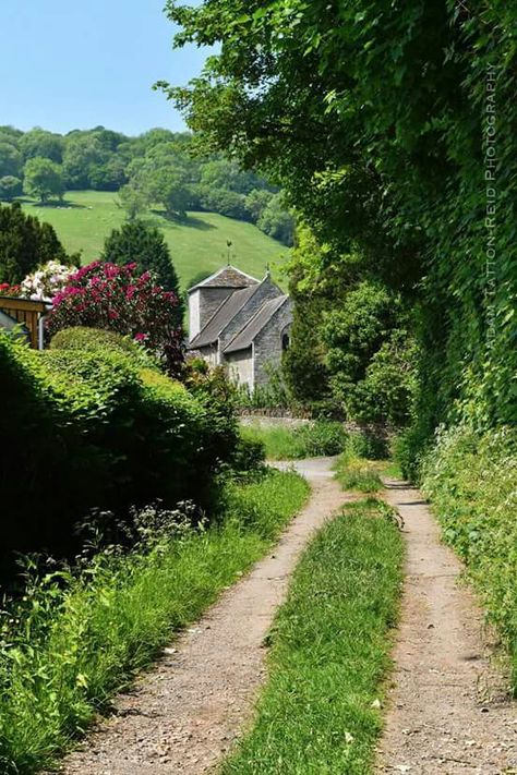British country lanes.  It's amazing the beauty that you can find just down the road in your own village. Here is a great view of Llyswen church from a farmers lane, hedgerows and trees in full Summer greenery. Nature, Beautiful, Naturaleza, Fotografie, Fotografia, Beautiful Nature, Fotos, Beautiful Landscapes, Jardim