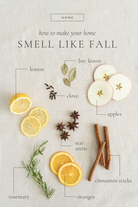 Potpourri, House Smell Good, Home Scents, Smell Good, Potpourri Recipes, Fall Recipes, Fall Decor, Smelling, Scents