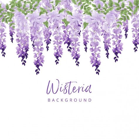 Purple Flowers, Floral, Flower Backgrounds, Floral Watercolor, Flores, Purple Wisteria, Flower Art, Background, Vector Background