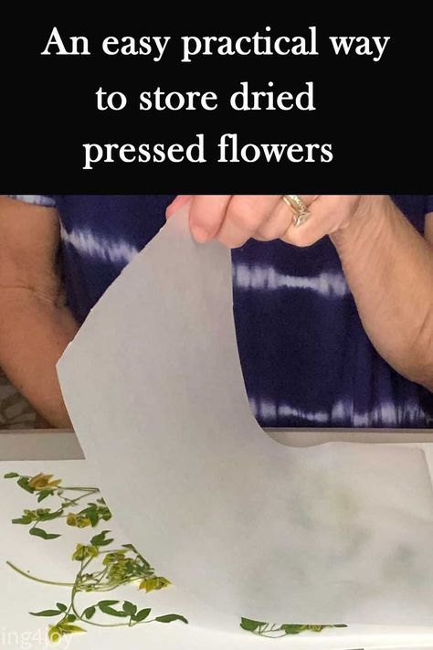 Gardening, Floral, People, Drying Flowers, Pressed Flower Crafts, How To Preserve Flowers, Dried Flowers Crafts, Pressed Flowers Diy, Dry Flowers