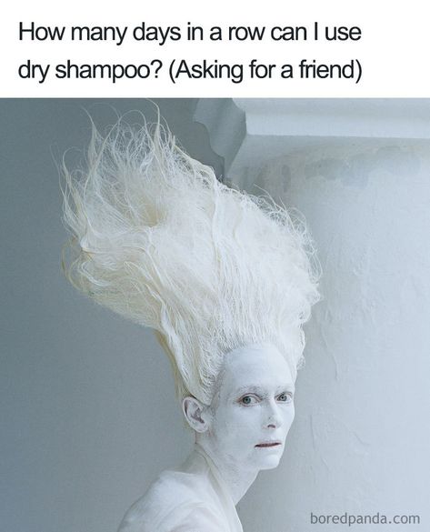 Humour, Funny Quotes, Funny Jokes, Funny Memes, Wordpress, Really Funny, How Are You Feeling, Hilarious, Hairstylist Memes