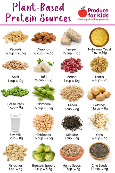 Looking for plant-based or vegan food sources of protein? Here are 24 plant-based protein sources to up your protein intake. Nutrition, Healthy Recipes, Protein, Plant Based Protein Sources, Plant Based Eating, Plant Based Protein, Plant Based Protein Recipes, Plant Based Nutrition, Plant Based Diet Recipes