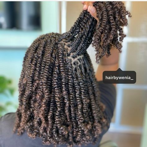 18 Passion Twists Styles For 2021 - The Glossychic Cornrows, Box Braids, Protective Styles, Natural Twist Styles, Updo Braids For Black Hair Ponytail, Natural Twist Hairstyles, Twist Hairstyles, Twist Styles, Natural Hair Twist Styles