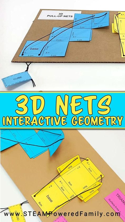 3D Nets Geometry Project - Students learn how to go from 2D to 3D at the pull  of a string 3d Shapes Nets, Geometry Games, Geometry Activities, 3d Shapes Activities, Math Models, Geometry Projects, Geometry Centers, Math Geometry Projects, Math Center