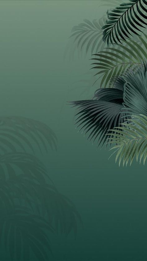 Green palm leaf mobile wallpaper, tropical border background | premium image by rawpixel.com / Adjima Diy, Collage, Floral, Vintage, Tropical Background, Palm Wallpaper, Tropical Wallpaper, Background, Palm Leaf Wallpaper