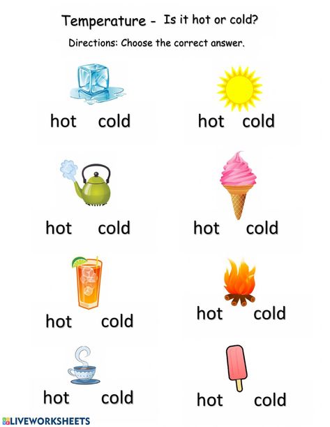 Hot or Cold Temperature online worksheet for Grade 1. You can do the exercises online or download the worksheet as pdf. Worksheets, Montessori, Pre K, Basic English For Kids, Learning English For Kids, Temperatures, Fun Worksheets, Worksheets For Grade 1, Worksheets For Grade 2