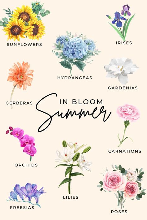 Graphic displays the flowers that are in season during the summer months, including sunflowers, irises, hydrangeas, gardenias, gerberas, orchids, carnations, lilies, roses, and freesias. Ideas, Inspiration, Gardening Supplies, Decoration, September Flowers In Season, Seasonal Flowers, Spring Season Flowers, Spring Flowers, May Flowers