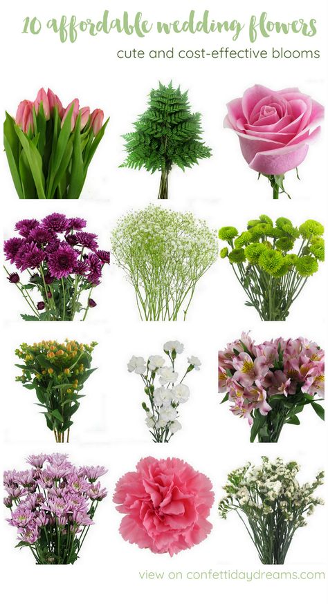 The Most Affordable Types of Wedding Flowers on a Budget Gardening, Affordable Wedding Flowers, Cheap Flowers For Wedding, Inexpensive Wedding Flowers, Affordable Flower Arrangements, Cheap Wedding Flowers, Budget Wedding Flowers, Wedding Flower Arrangements, Cheap Flower Bouquets