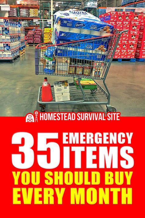 Are you prepared for an emergency? Emergencies can happen anytime and anywhere, but with the right items, you can make sure you stay safe during a crisis. In this article, we'll cover the 35 essential items you should buy every month to help keep you and your family safe. From medical supplies to food rations, these are the items you need in your emergency kit. Read on to find out what you should be stocking up on today! Emergency Preparation, Ideas, Food Storage, Health, Diy, Camping, Gardening, Tips, Ready