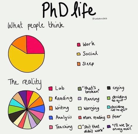 Phd Quote, Dissertation Motivation, Phd Comics, Phd Humor, Phd Psychology, Phd Life, Academic Writing Services, Thesis Writing, Psychology Student