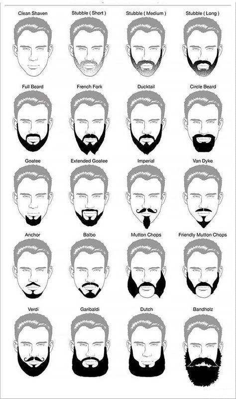 Beard Styles, Men Hairstyle Names, Man, Beard, Haar, Haircut Names For Men, Beard Styles For Men, Mustache, Hair Cuts
