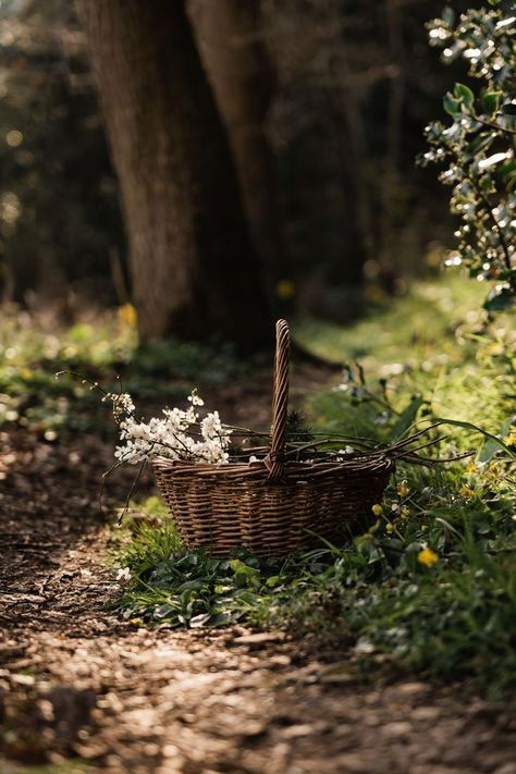 basket in the woods with spring blossom Outdoor, Nature, Decoration, Flowers, Beautiful, Hoa, Flores, Beautiful Flowers, Beautiful Nature