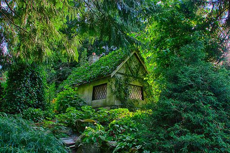 17 Magical Cottages Taken Straight From A Fairy Tale Nature, Fairytale Cottage, Forest Cottage, Cottage In The Woods, Whimsical Cottage, Witch Cottage, House In The Woods, Cozy Cottage, Witch House