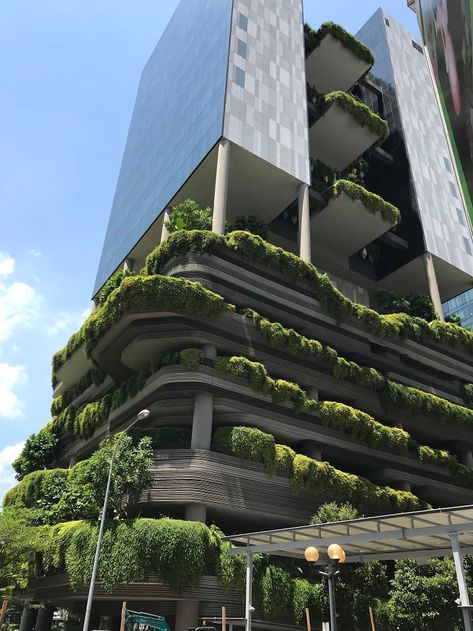 This Hotel In Singapore Is Very Green Landscape Architecture, Facade Design, Green Building Architecture, Facade, Architecture Building, Flatiron Building, Architecture Design, Building Design, Eco Architecture