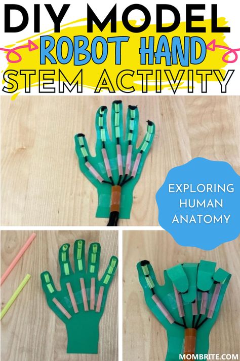 Montessori, Pre K, Crafts, Steam Activities Elementary, Kids Engineering Projects, Science Experiments Kids, Stem Projects, Steam Projects Middle School, Science Experiments Kids Preschool