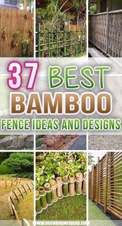 Best Bamboo Fence Ideas. A bamboo screen can transform your garden, patio or balcony into a cozy and exotic paradise. Here are the best bamboo fence ideas to inspire you for your next fencing project. #decorhomeideas Outdoor, Bamboo Fencing Ideas, Bamboo Fence, Bamboo Fencing, Bamboo Garden Fences, Bamboo Decking, Bamboo Poles, Bamboo Privacy Fence, Bamboo Screening Fence