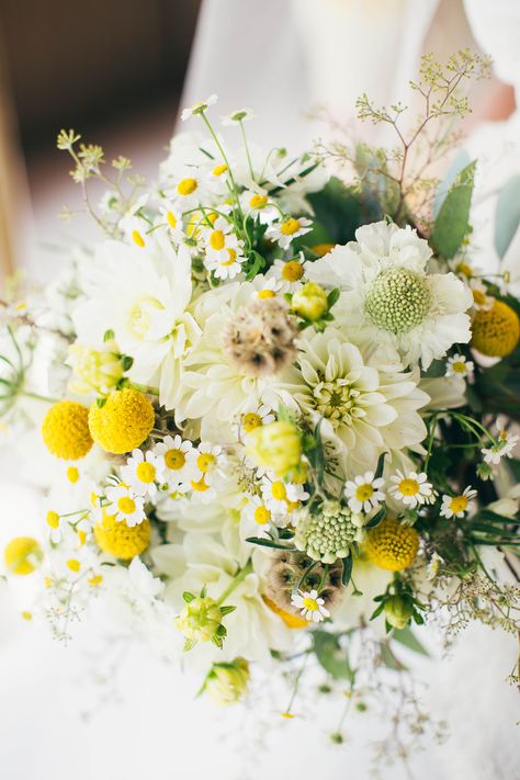 Yellow and White Bouquet with Craspedia, Scabiosa and Daisies Wedding Flowers, Yellow Wedding Flowers, Yellow Wedding Bouquet, Spring Wedding Bouquet, Wedding Flower Arrangements, Low Centerpieces, Wildflower Wedding Bouquet, Yellow Wedding, White Bouquet