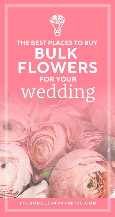 where to buy wedding flowers for DIY weddings Inspiration, Parties, Affordable Flowers, Grow Your Own Wedding Flowers, Wholesale Flowers Wedding, Bulk Flowers Online, Bulk Wedding Flowers, Wholesale Wedding Flowers, Budget Wedding Flowers