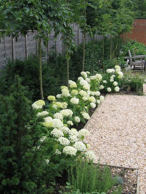 Exterior, Pea Gravel, Hydrangea Landscaping, Garden Landscaping, White Gardens, Flower Garden Design, Small Yard Landscaping, Farm Gardens, Garden
