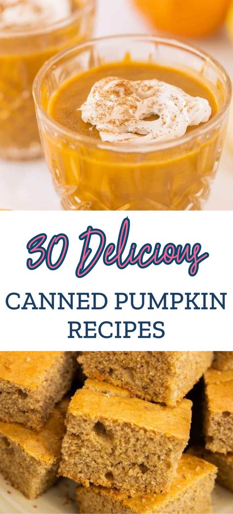 Dessert, Fresh, Ideas, Pumpkin Recipes, Inspiration, Canned Pumpkin Recipes, Canned Pumpkin Pie Filling, Pumpkin Puree, Pumpkin Puree Recipes